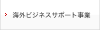 海外ビジネスサポート事業